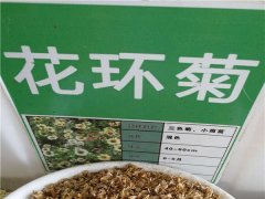 花環(huán)菊種子